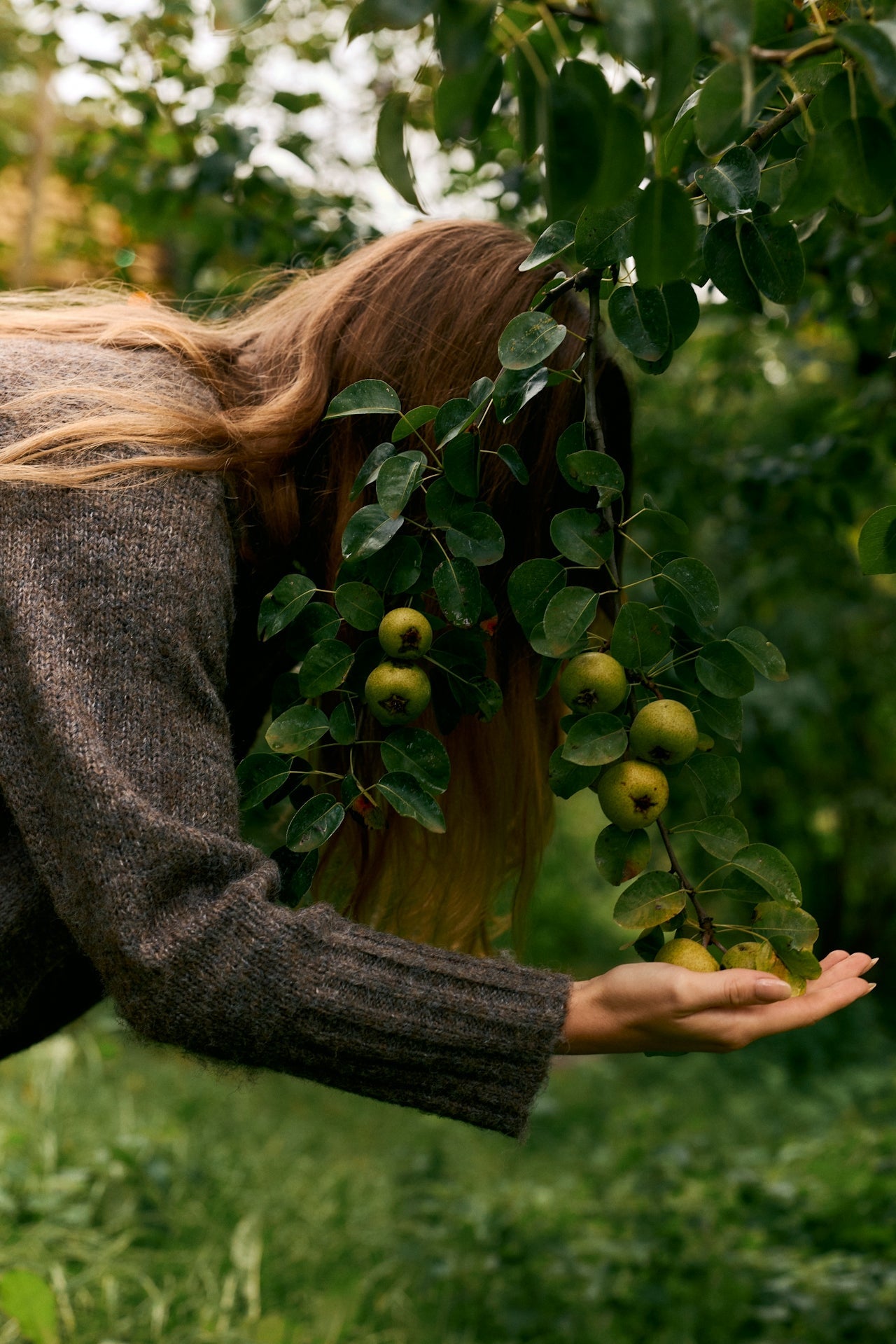 Stéibel Scope: Can Sustainability be Abundant?