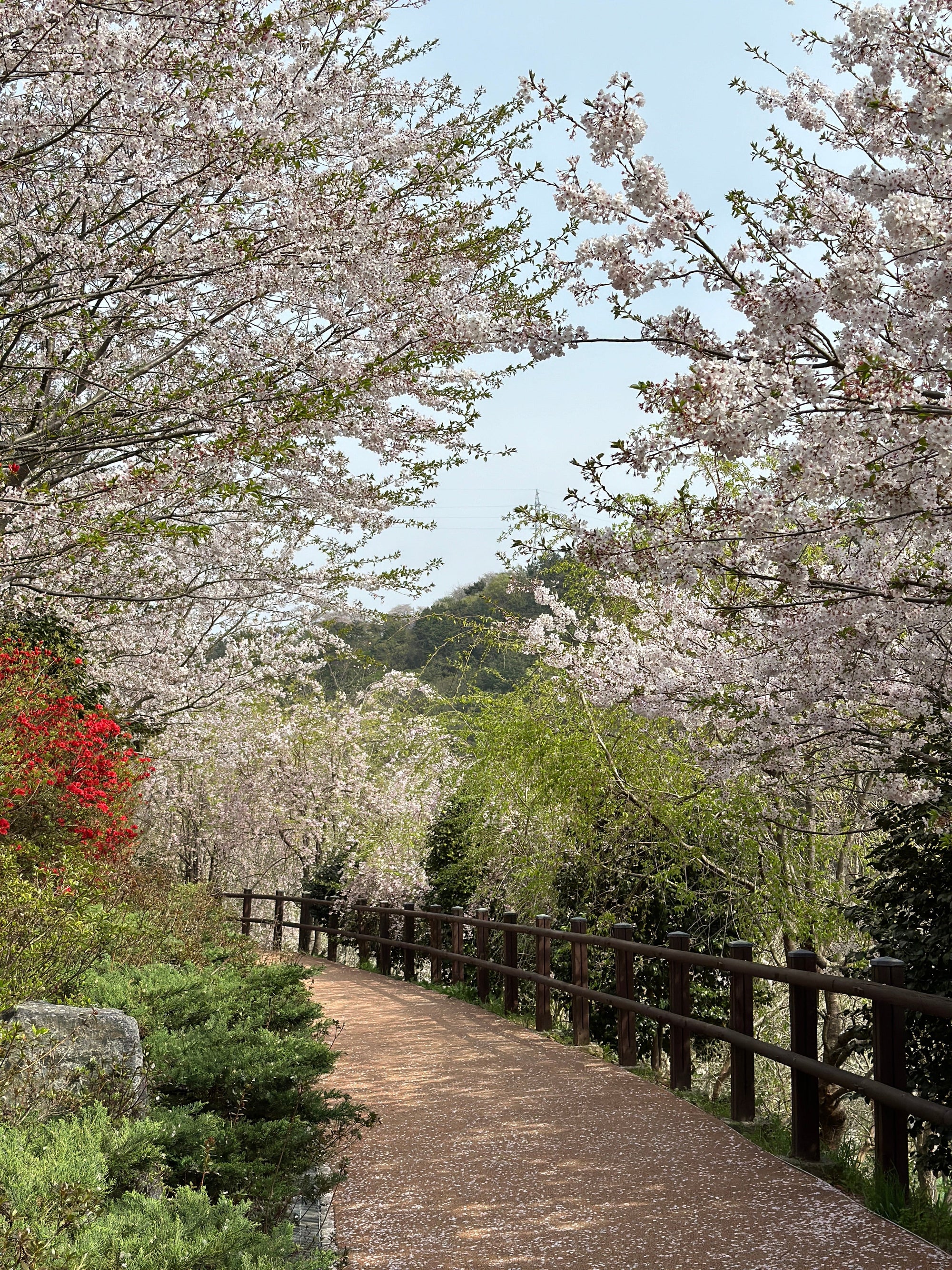 How Does Japanese Philosophy Influence Gntl's Products?